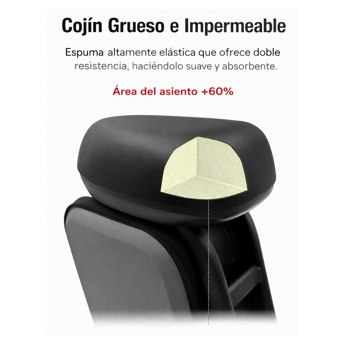 Asiento Multifuncional Segway