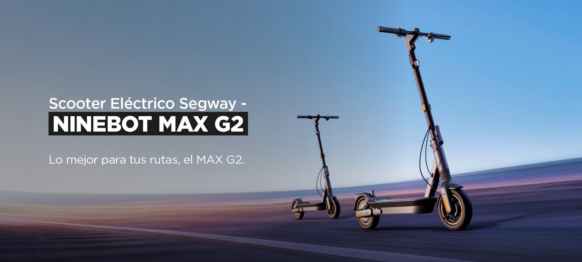 Max G2 - Seminuevo